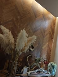 -娇玫荟SPA