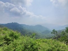 -大岭沟猕猴桃谷风景区