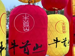 -牛首山文化旅游区