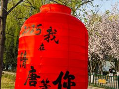 -洛阳市隋唐城遗址植物园