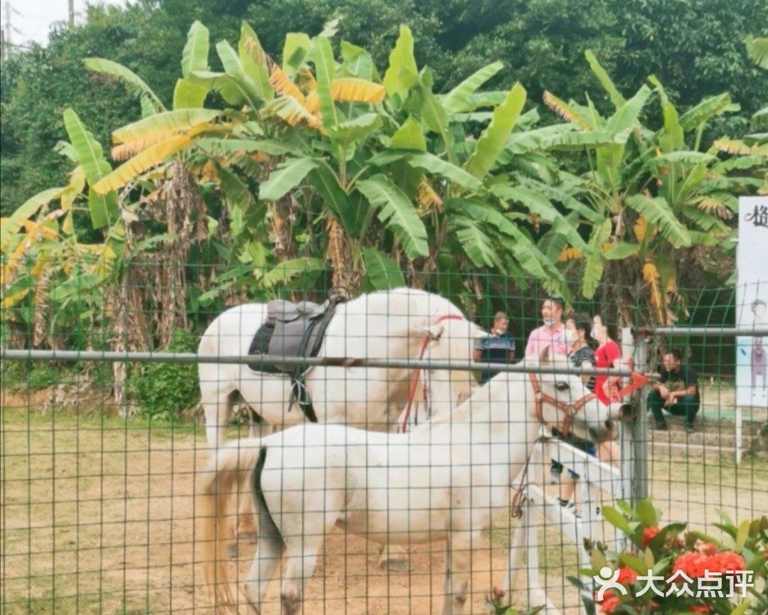 带着小朋友去亲近大自然吧！打卡格林东庄