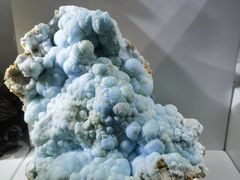 -重庆自然博物馆(新馆)