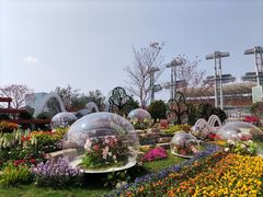 -海心沙亚运公园