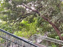 -佛山华盖山公园