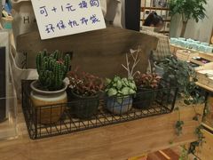 -猫的天空之城概念书店(印象城购物中心店)