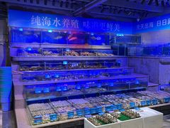 -青蓬蒸汽海鲜·深圳老字号·团建聚会(壹方城店)