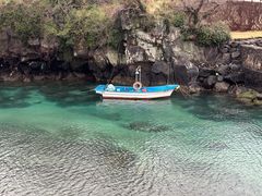 -龙头岩(Dragon Head Rock)