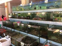 水产区-秋姐美食店(旅游大道店)