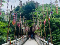 -西双版纳原始森林公园