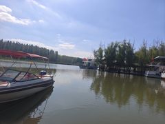 -滕州微山湖红荷湿地景区