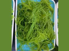 -刘记糟粕醋海鲜烧烤