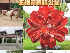 -王借岗森林公园