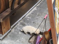 -老渔家鲜鱼轩(南浦横街店)