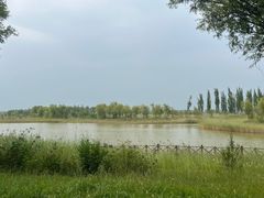 -野鸭湖国家湿地公园