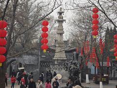-大槐树寻根祭祖园