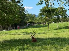 -良渚古城遗址公园