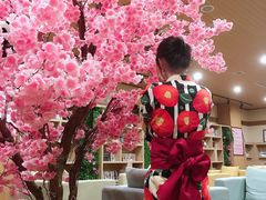 -大江户·温泉洗浴(浑南店)