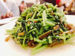 茼蒿炒海蜇-林之六八·6886大连老菜馆
