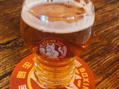 -Boxing Cat Brewery拳击猫精酿啤酒馆(永福店)