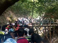 -牛鱼嘴原始生态风景区