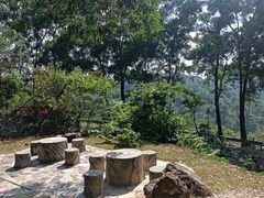 -风云岭森林公园