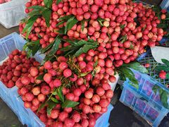 -鑫朱雀农贸批发市场