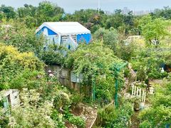 -三圣花乡旅游区