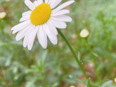 -昆山城市生态森林公园