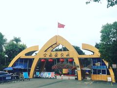 -金花茶公园