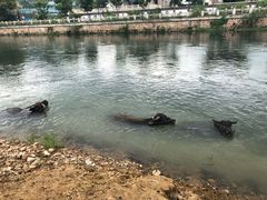 -杭州双溪漂流景区