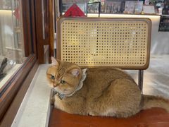 -想见你(咖啡·茶饮·甜品·江汉路店)