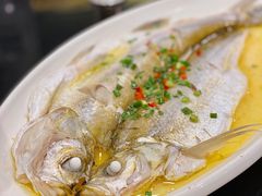 清蒸鲜白鱼-锡和无锡菜(景丽苑店)