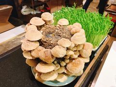 活体松香菇-捞神汤物料理(正大广场店)