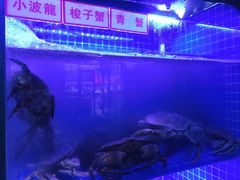 -捞围鲜·港式打边炉(海阳路店)