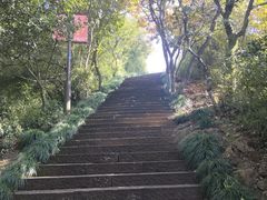 -杭州半山国家森林公园