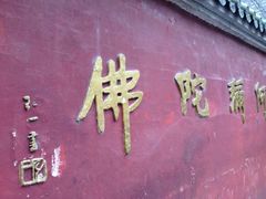 -华林禅寺