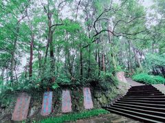 -峨眉山报国寺
