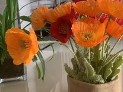 -海天一色海景自助餐厅(西港花园店)