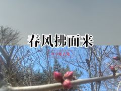 -长白岛森林公园
