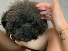 -贝利宠物医院·骨科·眼科·肿瘤转诊中心(南坪诊疗中心)