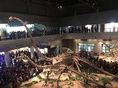 -自贡恐龙博物馆