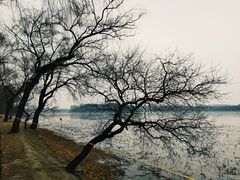 -颐和园