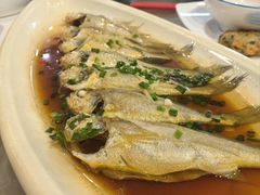 -福建美食城(老君堂店)