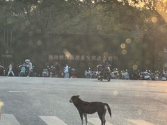 -幕燕滨江·燕子矶公园