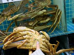 -震海贝烤贝·民俗特色店(延吉总店)