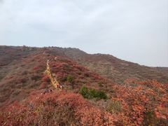 -水峪民俗村
