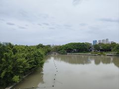 -江心屿景区