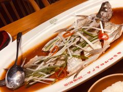 -丹江渔村(望京店)