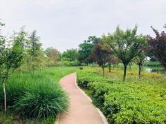 -郑东新区湿地公园
