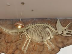 -FAIRYLAND龙族星球主题餐厅(凯丹广场店)